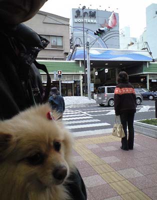 b0075318_236156.jpg