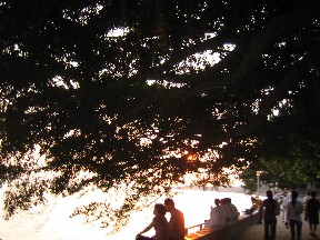 c0054118_206467.jpg