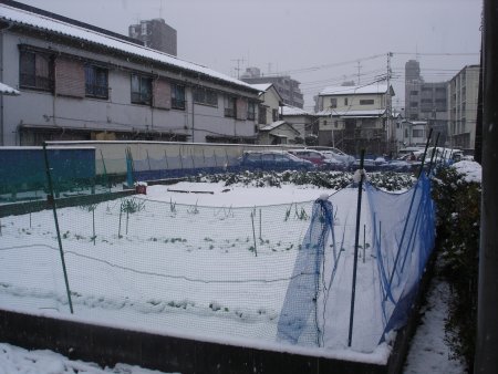 e0003819_20513657.jpg