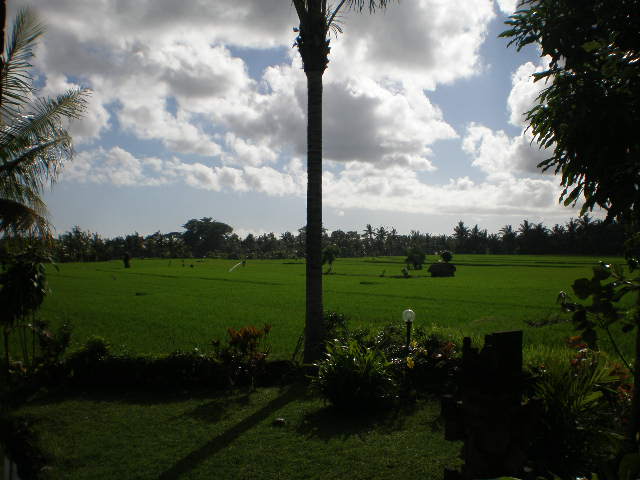 c0095424_1428436.jpg