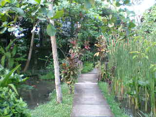 c0095424_14454785.jpg