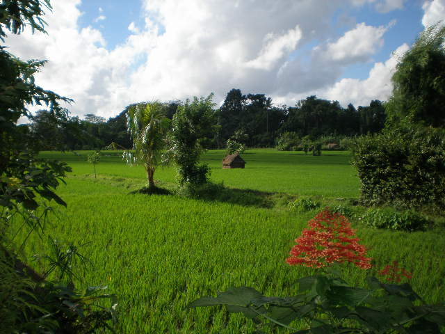 c0095424_15354247.jpg