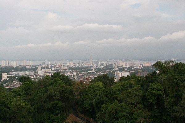 d0116625_1751981.jpg