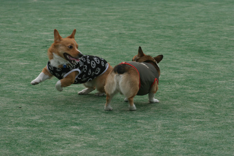 e0071225_2147947.jpg