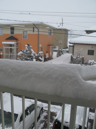 d0004426_10335871.jpg