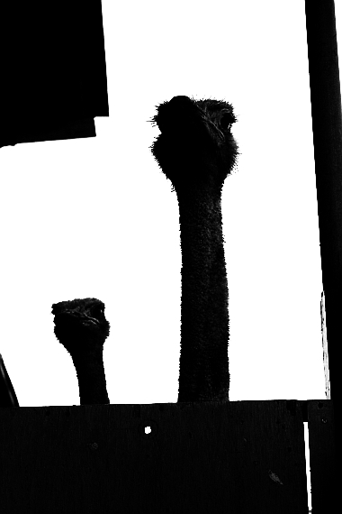 d0135330_18453049.jpg