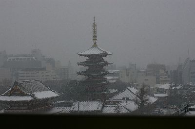 c0080132_2254662.jpg