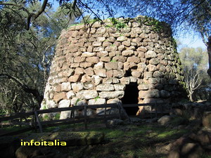 c0077533_592964.jpg
