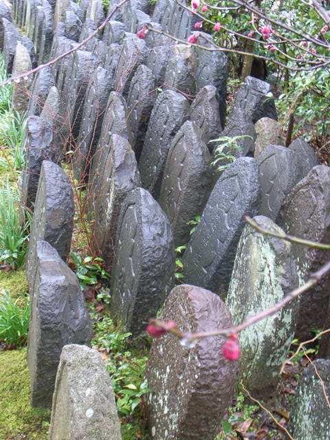 d0105133_2084144.jpg