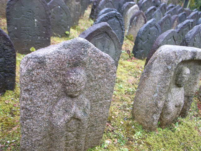 d0105133_209485.jpg