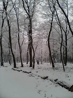 d0140133_188899.jpg