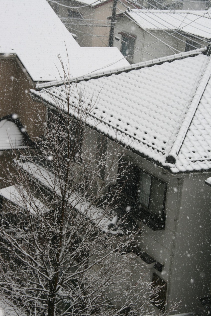 d0140533_1622937.jpg