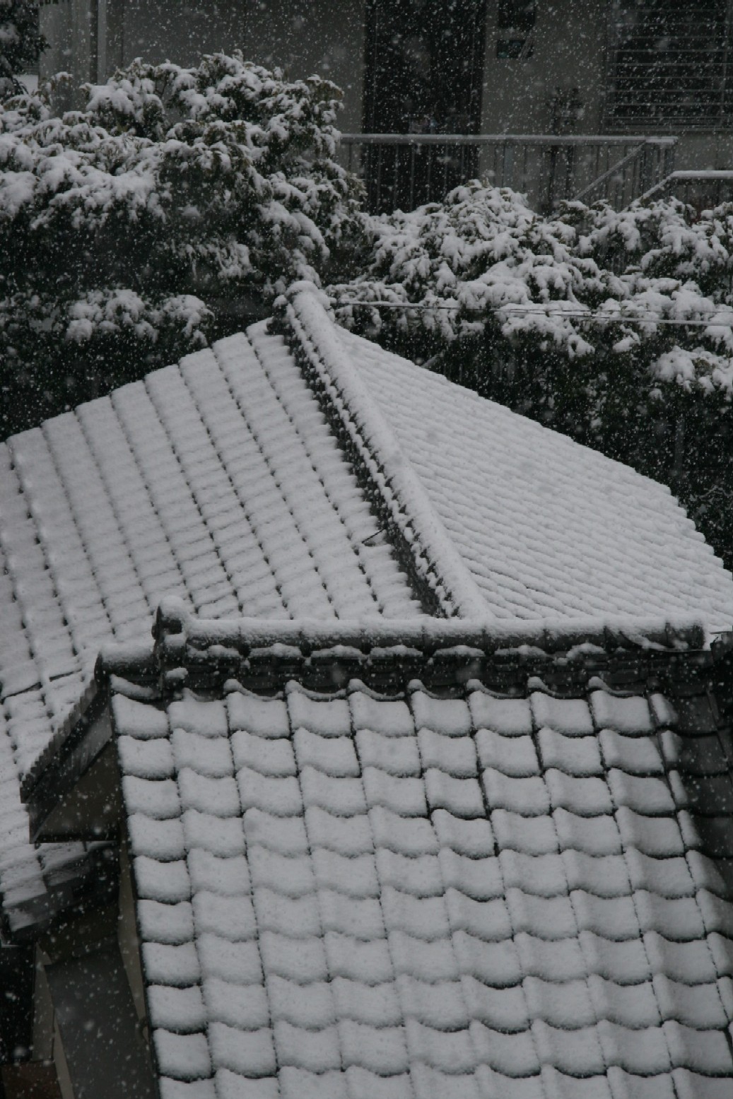 d0140533_1665989.jpg
