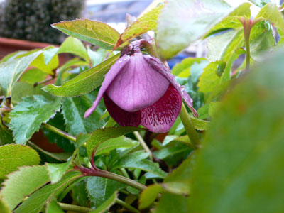 f0061334_2154812.jpg