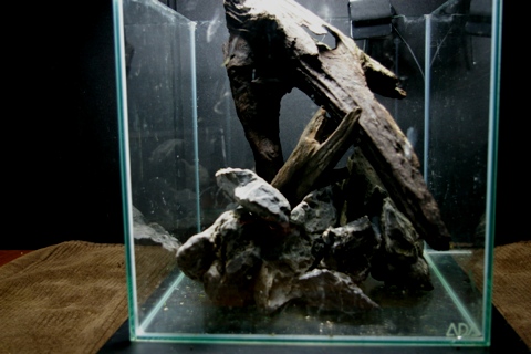 c0087937_22113641.jpg