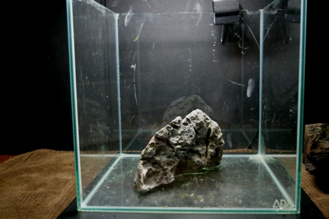c0087937_2224939.jpg