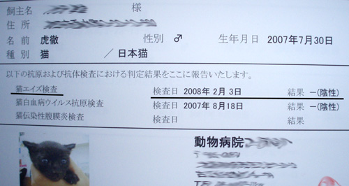 c0132438_23273827.jpg