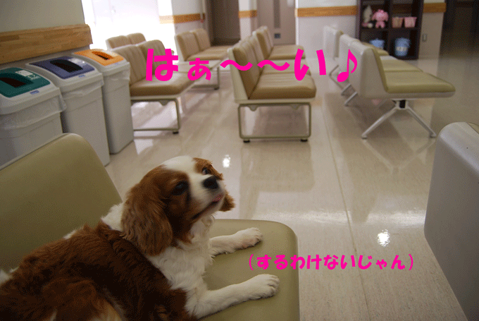 c0136838_16253895.gif