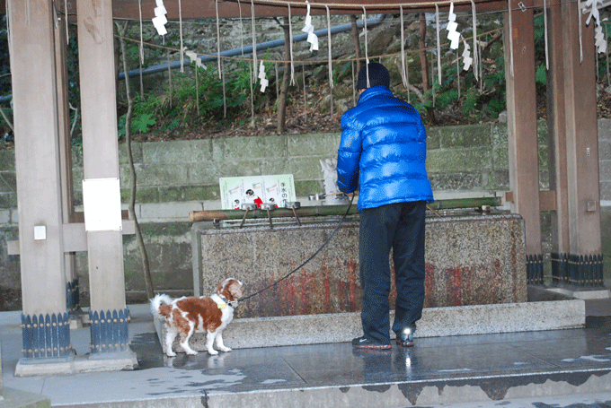 c0136838_16491251.gif