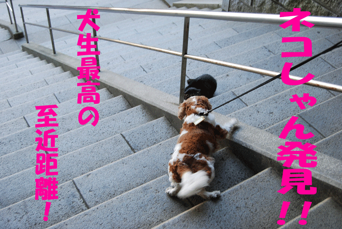 c0136838_1658153.gif