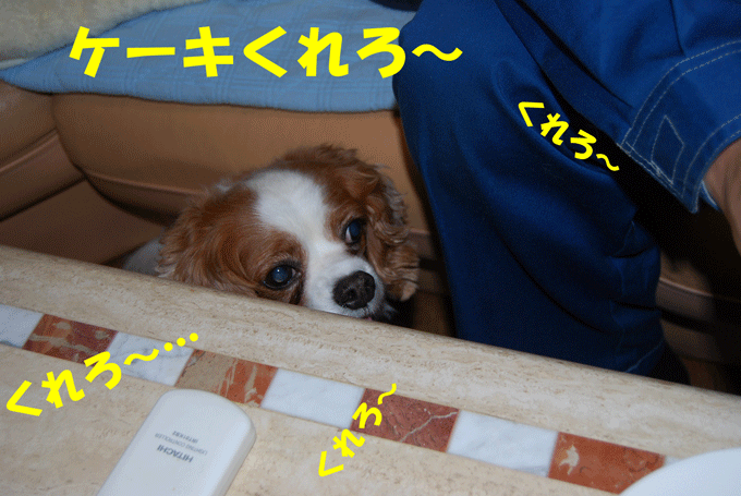 c0136838_22335422.gif