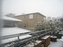 a0068339_1213481.jpg