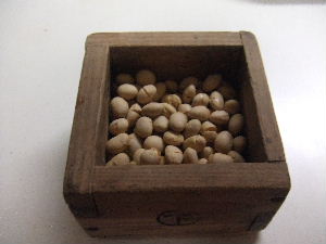 a0054240_22172778.jpg