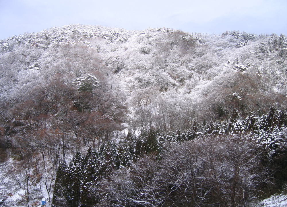 e0049740_16122984.jpg