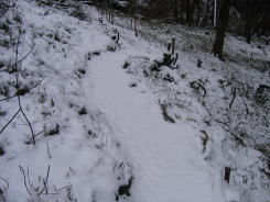 e0049740_16333799.jpg
