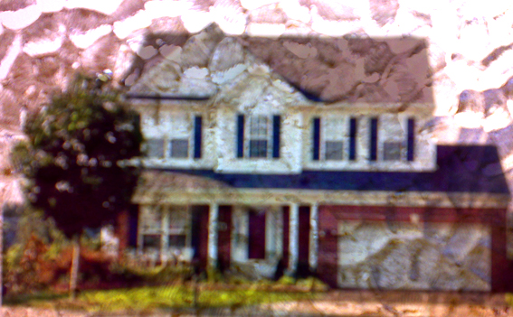 a0052641_0544574.jpg