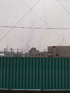 d0075741_17434158.jpg