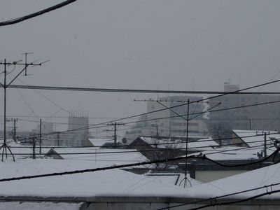 c0074444_1715226.jpg