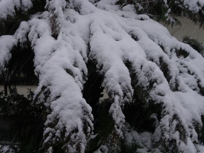 c0074444_1792773.jpg