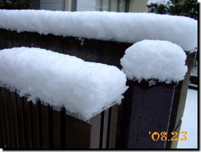 2月3日雪