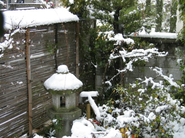a0007847_1137177.jpg