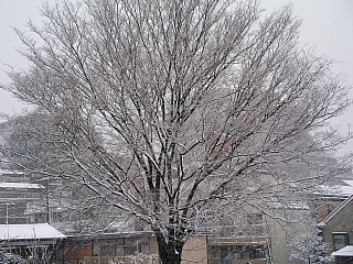 c0123149_15192488.jpg