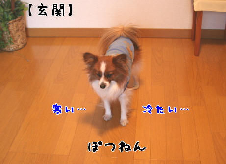 d0013149_10193837.jpg