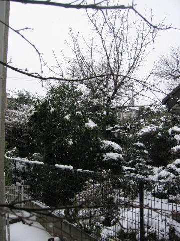 f0127750_21375089.jpg