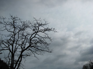 a0052952_20342311.jpg
