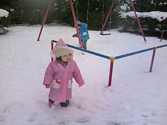 b0102152_21561517.jpg