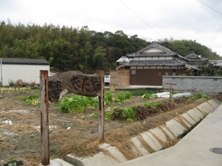 f0139253_22383741.jpg