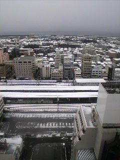 a0023158_21283260.jpg