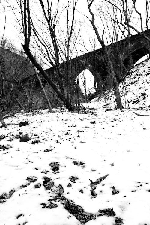 c0114161_0502982.jpg