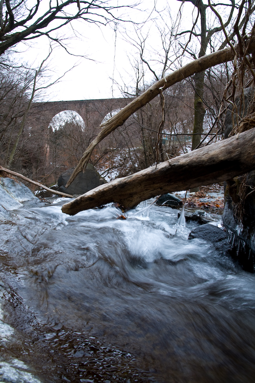 c0114161_1114950.jpg