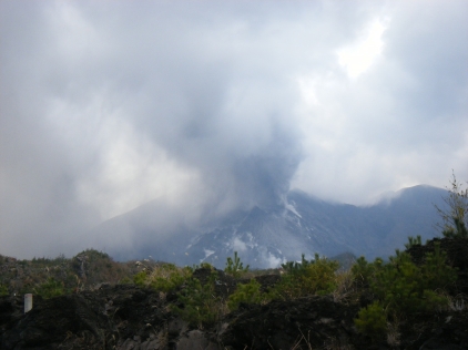 d0131061_213268.jpg