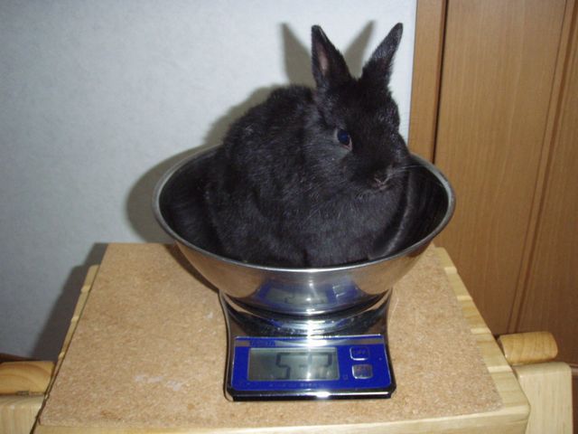 c0002967_22474410.jpg