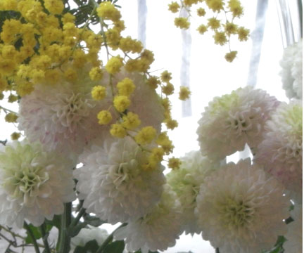 f0016868_23242516.jpg