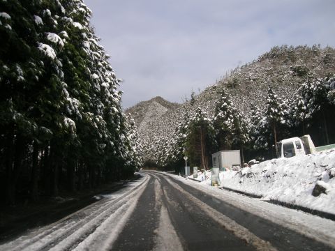 c0042869_16322793.jpg