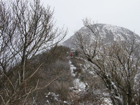 c0042869_16455082.jpg