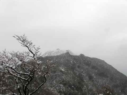 c0042869_16484338.jpg